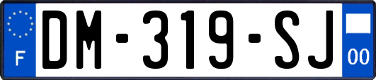 DM-319-SJ