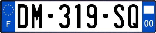DM-319-SQ