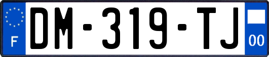DM-319-TJ