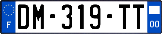 DM-319-TT