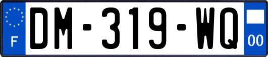 DM-319-WQ