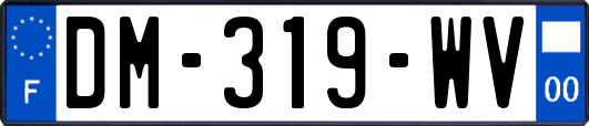 DM-319-WV