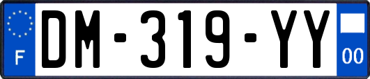 DM-319-YY