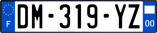 DM-319-YZ