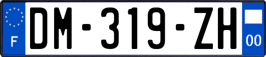 DM-319-ZH