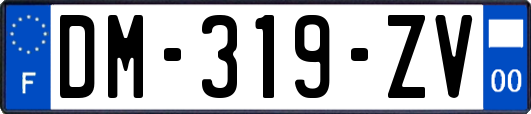 DM-319-ZV