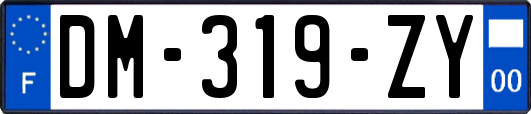 DM-319-ZY