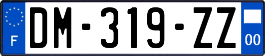 DM-319-ZZ