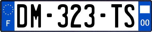 DM-323-TS