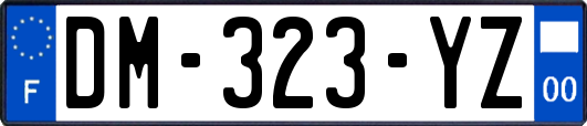 DM-323-YZ