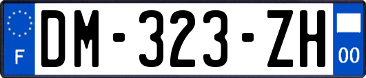 DM-323-ZH