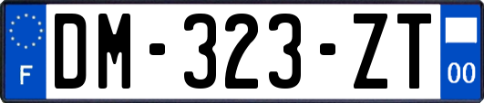 DM-323-ZT