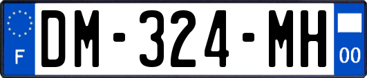 DM-324-MH