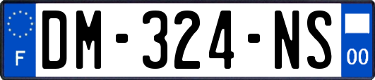 DM-324-NS