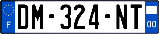 DM-324-NT
