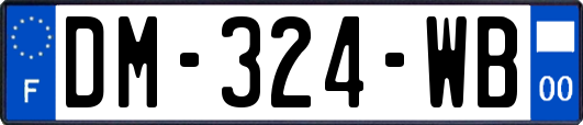 DM-324-WB