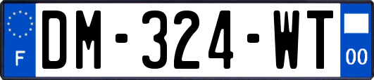 DM-324-WT