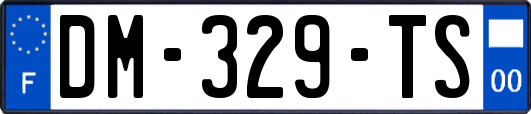 DM-329-TS
