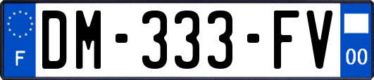 DM-333-FV