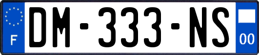 DM-333-NS