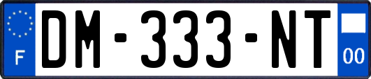 DM-333-NT