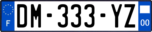 DM-333-YZ