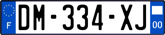 DM-334-XJ