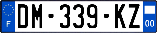 DM-339-KZ