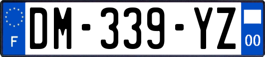 DM-339-YZ