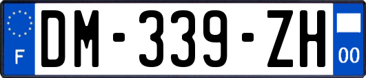 DM-339-ZH