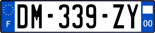 DM-339-ZY