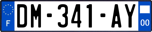 DM-341-AY