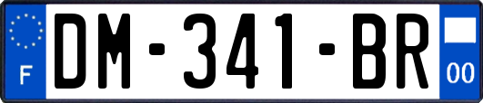 DM-341-BR