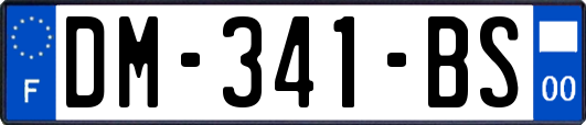 DM-341-BS