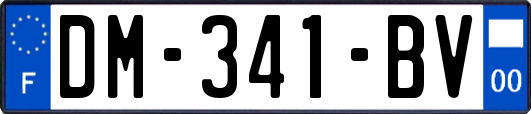 DM-341-BV