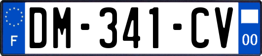 DM-341-CV