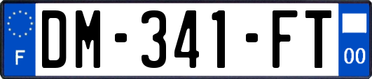 DM-341-FT