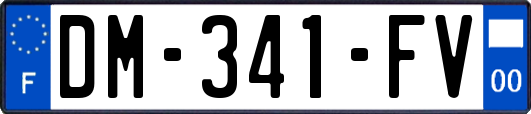 DM-341-FV