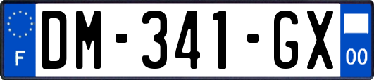 DM-341-GX