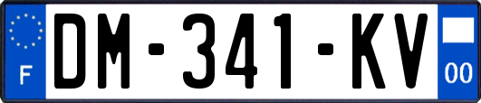 DM-341-KV