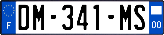 DM-341-MS
