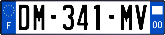DM-341-MV