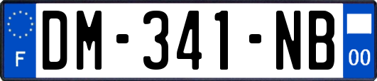 DM-341-NB