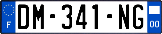 DM-341-NG
