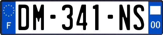 DM-341-NS
