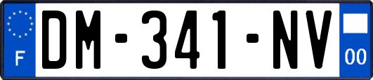 DM-341-NV