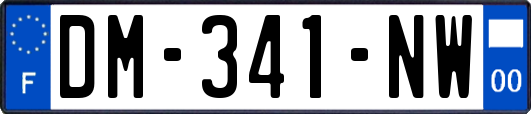 DM-341-NW