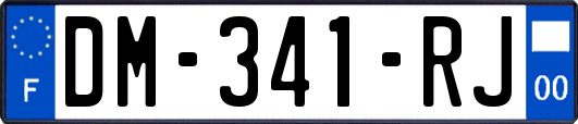 DM-341-RJ
