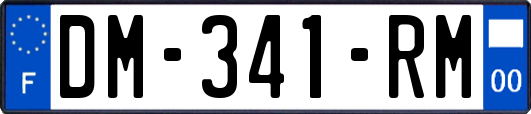 DM-341-RM