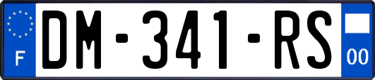 DM-341-RS